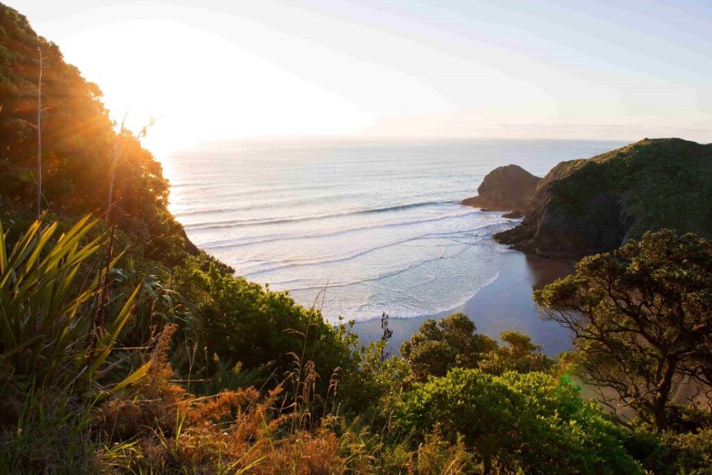 A shot of an iconic Auckland beach from the top of a hill at sunset.